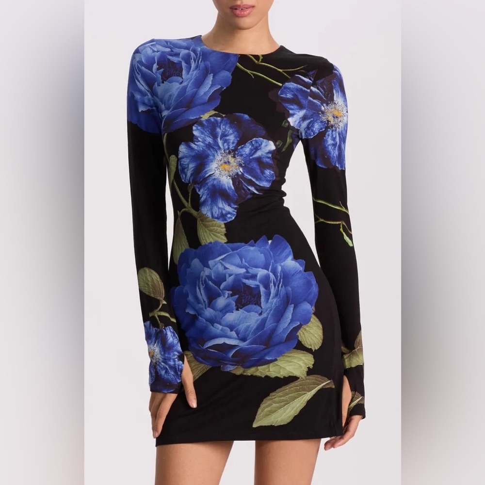 Alice + Olivia Delora Floral Print Long Sleeve Minidress, Size 4, $395